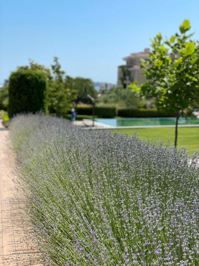 Provence Deluxe Apartment In Atia Resort Tsjernomorets Eksteriør bilde